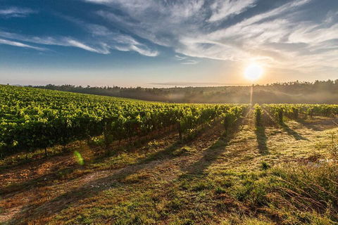 Perth To Margaret River Wine Tour - 2 Day Premium Boutique Wine Tour Experience - Accommodation QLD 0