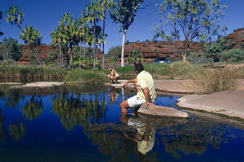 Palm Valley 4WD Day Tour - Accommodation QLD 1