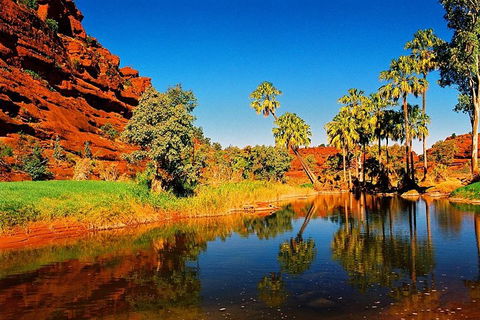 Palm Valley 4WD Day Tour - Accommodation QLD 2