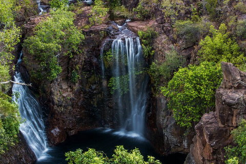 Litchfield National Park - Top End Day Tour From Darwin - Accommodation QLD 2