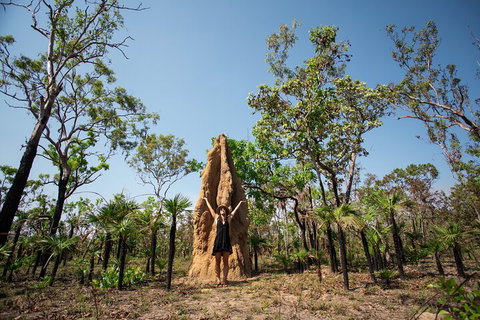 Litchfield National Park - Top End Day Tour From Darwin - Accommodation QLD 5