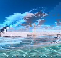 4-Day Coastal Loop via Monkey Mia Wild Dolphins Kalbarri Pinnacles Perth Return - Accommodation QLD