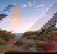 6-Day Coral Coaster from Perth to Exmouth One-Way via Monkey Mia Ningaloo Reef - Accommodation QLD