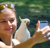 2-Day Melbourne to Adelaide Tour Great Ocean Road and Grampians One Way Trip - Accommodation QLD