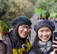 Small-Group Great Ocean Road and 12 Apostles Full-Day Tour from Melbourne - Accommodation QLD