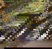 Adelaide Highlights Hahndorf  McLaren Vale Wine Tasting and Sightseeing Tour - Accommodation QLD
