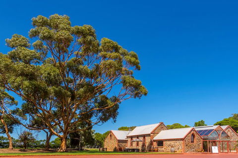McLaren Vale And Glenelg Wine Tasting And Sightseeing (Half-day Afternoon) - Accommodation QLD 5