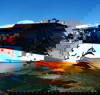 Express Jet Boat Ride  Aquaduck - Accommodation QLD
