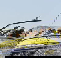 30-minute Jet Blast Express Ride - Accommodation QLD