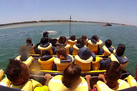 Jet Boat Express Ride - 30mins - Accommodation QLD 5