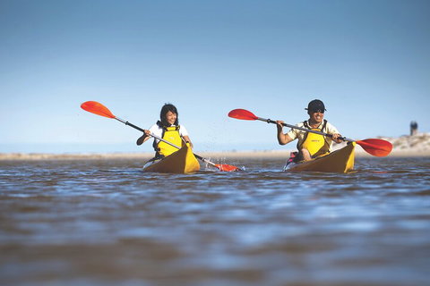 Kangaroo Island Self-Guided Kayaking On The Harriet River - Accommodation QLD 2