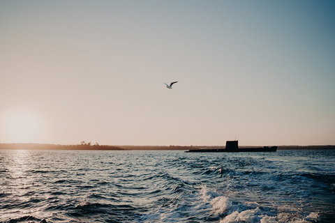 Phillip Island Twilight Cruise - Accommodation QLD 1