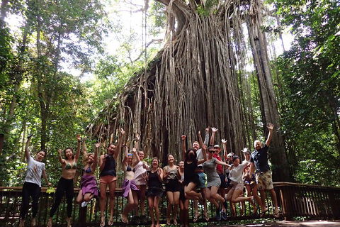 Atherton Tablelands Waterfalls Tour From Cairns - Accommodation QLD 5