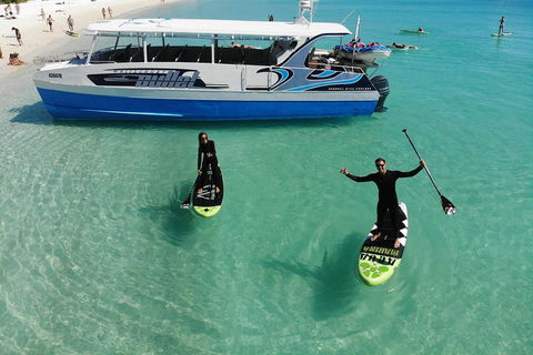 Whitsunday Bullet Day Trip - Whitehaven Beach And Snorkelling - Accommodation QLD 4