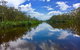 Noosa Everglades Serenity Cruise & Highlights Tour Inc. Lunch & Cruise - thumb 0