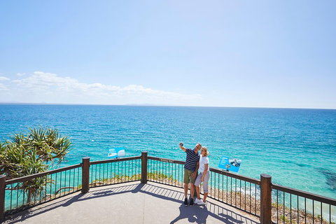 Noosa Everglades Serenity Cruise & Highlights Tour Inc. Lunch & Cruise - Accommodation QLD 3