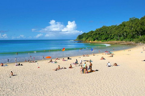 Noosa Everglades Serenity Cruise & Highlights Tour Inc. Lunch & Cruise - Accommodation QLD 4