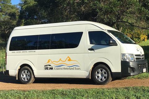 Noosa Everglades Serenity Cruise & Highlights Tour Inc. Lunch & Cruise - Accommodation QLD 5
