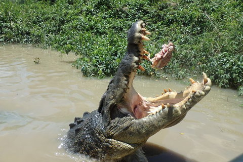 Litchfield And Jumping Crocodiles Full Day Trip From Darwin - Accommodation QLD 3