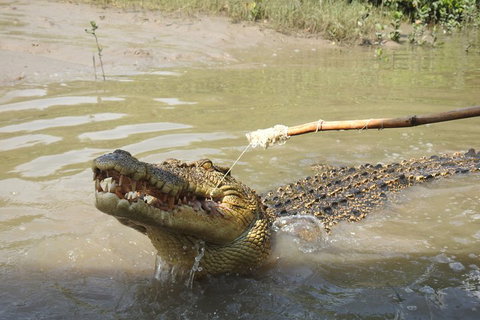 Litchfield And Jumping Crocodiles Full Day Trip From Darwin - Accommodation QLD 4