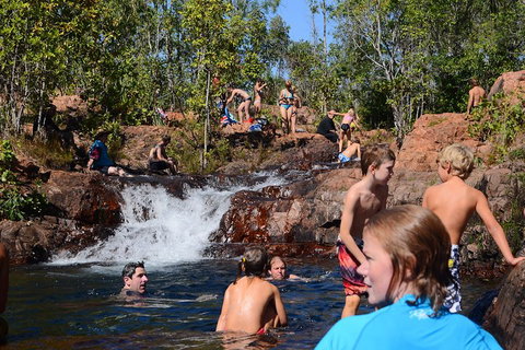 Litchfield And Jumping Crocodiles Full Day Trip From Darwin - Accommodation QLD 5