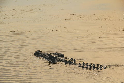 Yellow Water Cruise - Kakadu - Accommodation QLD 2