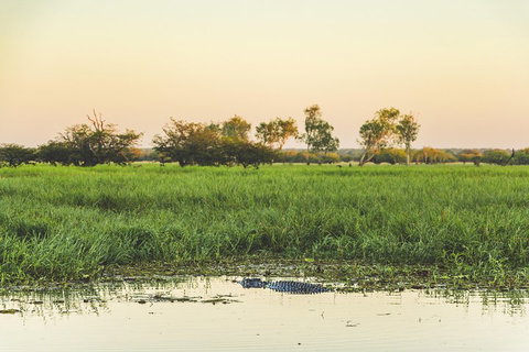 Yellow Water Cruise - Kakadu - Accommodation QLD 3