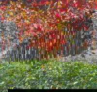 Margaret River Private Tour - Accommodation QLD