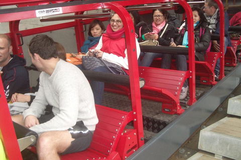 Blue Mountains Private Tour With Wildlife Park And River Cruise - Accommodation QLD 0