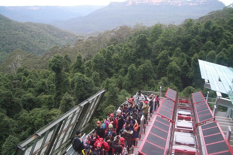 Blue Mountains Private Tour With Wildlife Park And River Cruise - Accommodation QLD 1