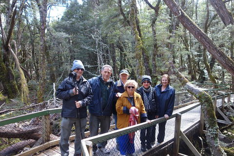 Blue Mountains Private Tour With Wildlife Park And River Cruise - Accommodation QLD 2