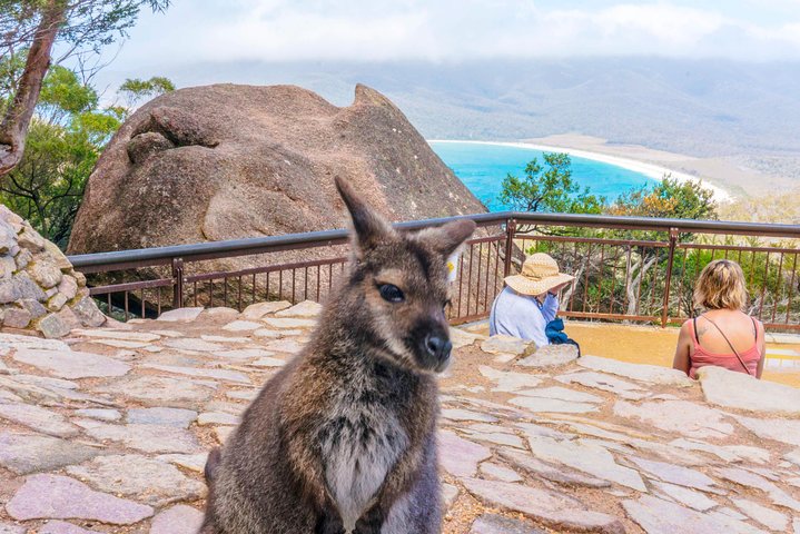  Accommodation QLD