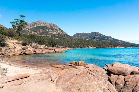 Wineglass Bay & Freycinet NP Full Day Tour From Hobart Via Richmond Village - Accommodation QLD 5
