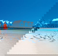 Margaret River and Geographe Bay Region Day Trip from Perth - Accommodation QLD