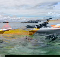 Seal Island and Penguin Island or Point Peron Sea Kayak Tour - Accommodation QLD