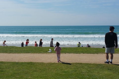 Surf Tour And Lesson - Accommodation QLD 0