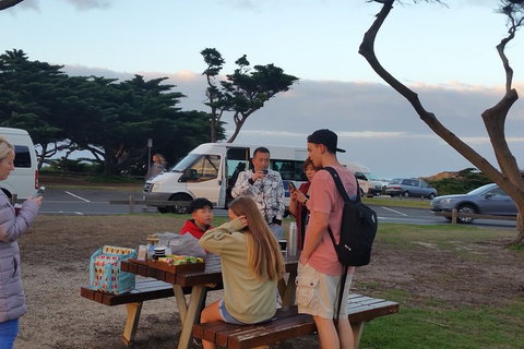 Surf Tour And Lesson - Accommodation QLD 2