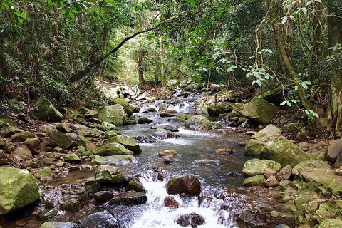 Exclusive Private Tour - Design Your Own - Accommodation QLD 1