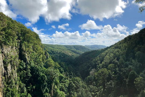 Exclusive Private Tour - Design Your Own - Accommodation QLD 3