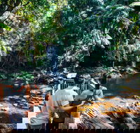 Aquaduck  Your choice of Gold Coast Rainforest Tour - Accommodation QLD