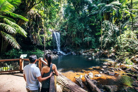 Aquaduck & Your Choice Of Gold Coast Rainforest Tour - Accommodation QLD 0