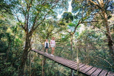 Aquaduck & Your Choice Of Gold Coast Rainforest Tour - Accommodation QLD 4