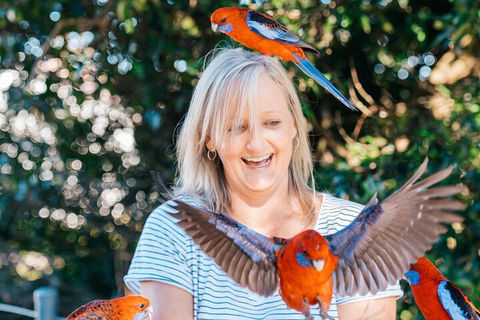 Aquaduck & Your Choice Of Gold Coast Rainforest Tour - Accommodation QLD 5