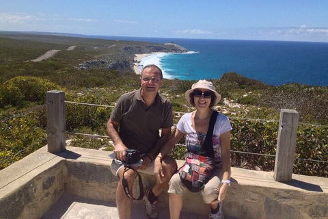 Kangaroo Island 4WD Tour - Best Of KI In 2 Days - Accommodation QLD 2