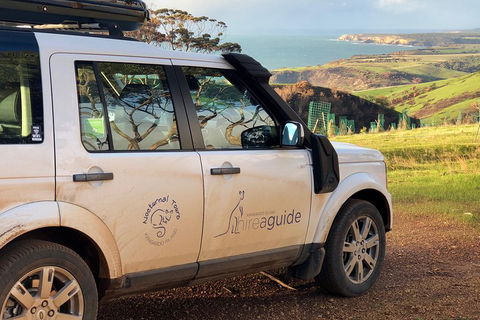 Kangaroo Island 4WD Tour - Best Of KI In 2 Days - Accommodation QLD 4