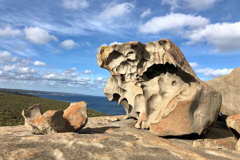Kangaroo Island 4WD Tour - Best Of KI In 2 Days - Accommodation QLD 5