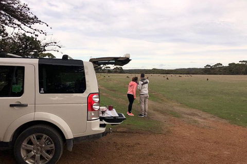 Kangaroo Island 4WD Tour - Flinders Chase - Accommodation QLD 3