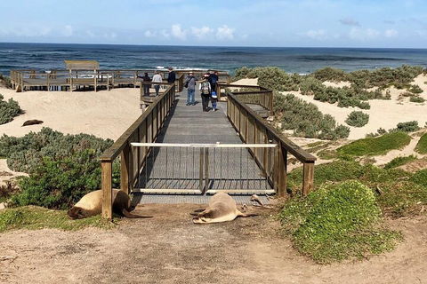 Kangaroo Island 4WD Tour - Best Of KI - Accommodation QLD 2