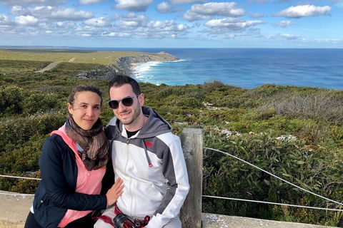 Kangaroo Island 4WD Tour - Best Of KI - Accommodation QLD 4
