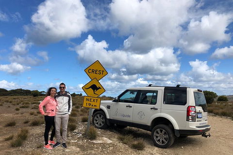 Kangaroo Island 4WD Tour - Best Of KI - Accommodation QLD 5